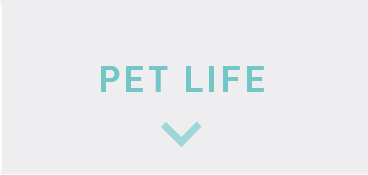 PET LIFEへ